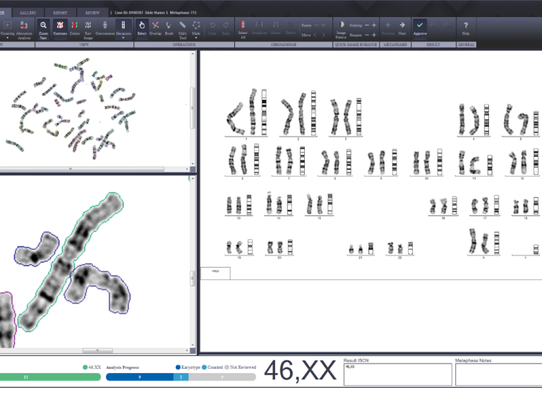 karyotype application